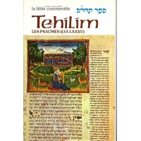 Sefer Tehilim - Les Psaumes III - Rabbin Avrohom Chaim Feuer 