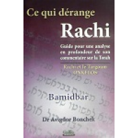 Ce qui dérange Rachi - Bamidbar - Dr Avigdor Bonchek
