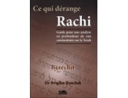 Ce qui dérange Rachi - Berechit - Dr Avigdor Bonchek