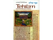 Sefer Tehilim - Les Psaumes I - Rabbin Avrohom Chaim Feuer